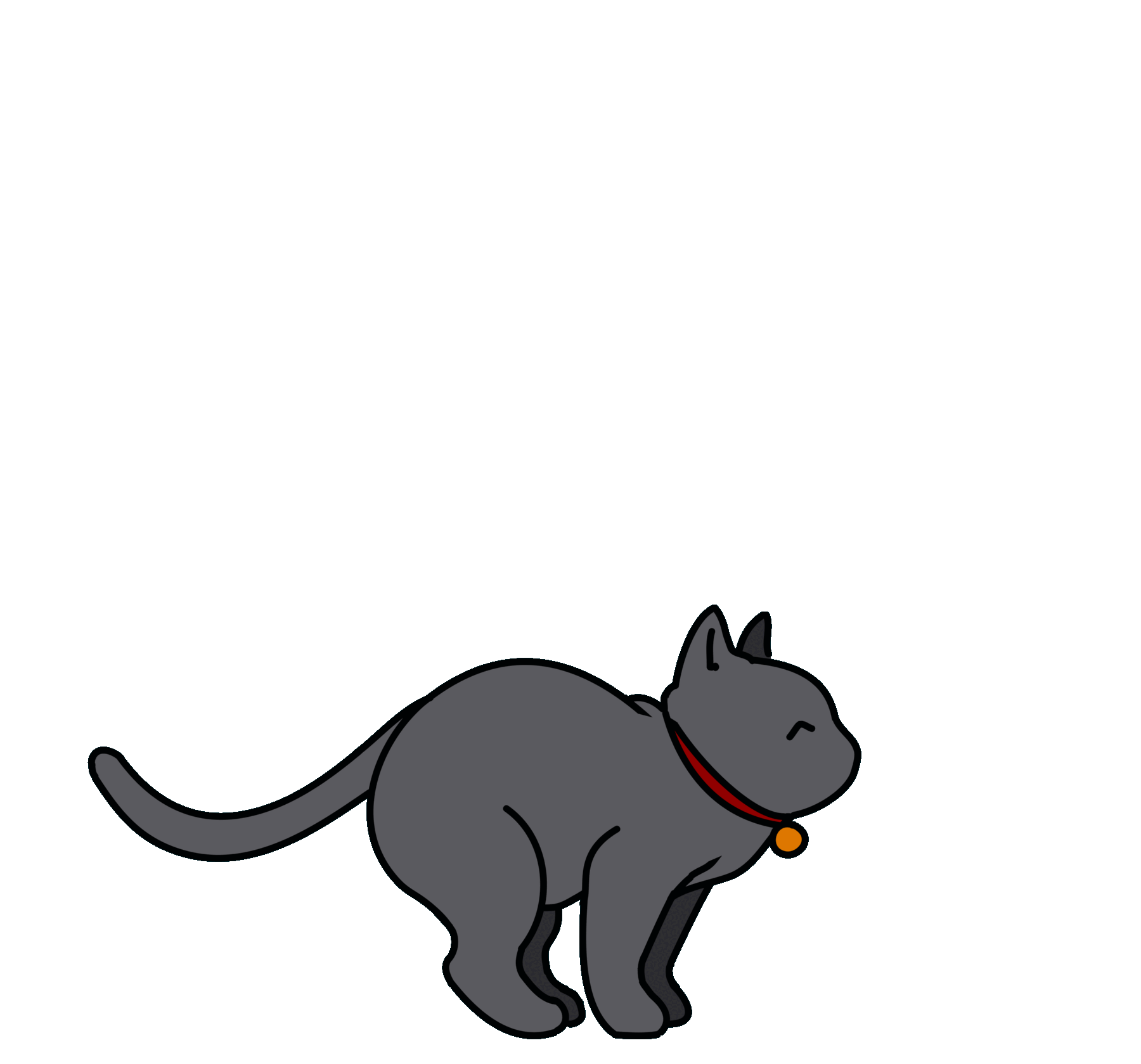 cat
